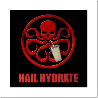 Hail Hydrate Posters and Art